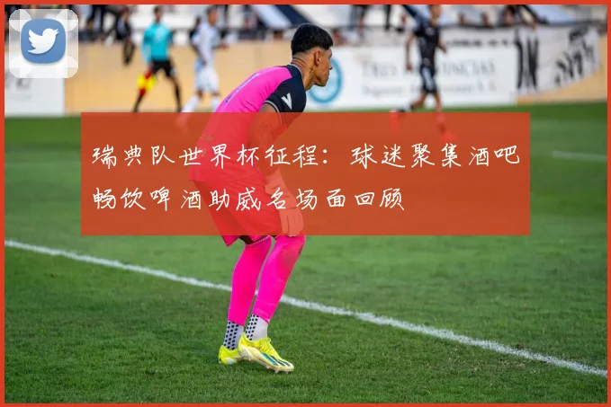 瑞典队世界杯征程：球迷聚集酒吧畅饮啤酒助威名场面回顾