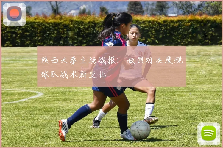 陕西大秦主场战报：激烈对决展现球队战术新变化