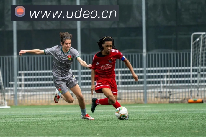 爱游戏app网页版在线登录平台生态图